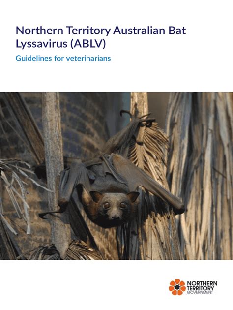 Australian bat lyssavirus infection .